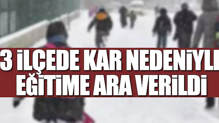 3 ilçede kar nedeniyle eğitime ara verildi