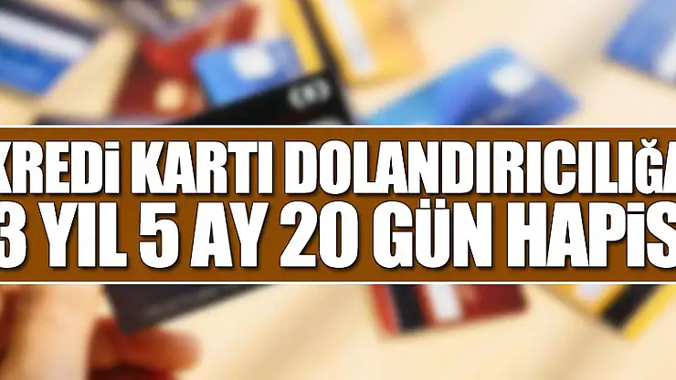 Kredi kartı aidatını geri ödeme vaadiyle dolandırıcılığa 3 yıl 5 ay 20 gün hapis
