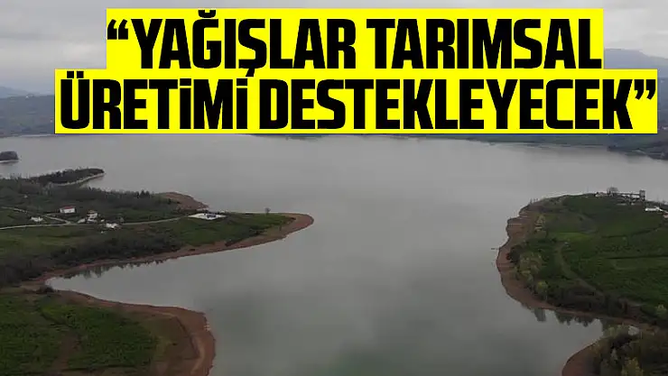 Prof. Dr. Demir: 'Yağışlar tarımsal üretimi destekleyecek'