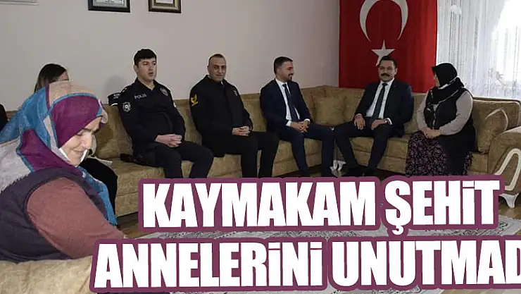 Kaymakam Şehit Annelerini unutmadı