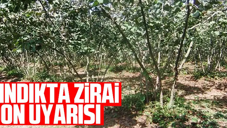 FINDIKTA ZİRAİ DON UYARISI