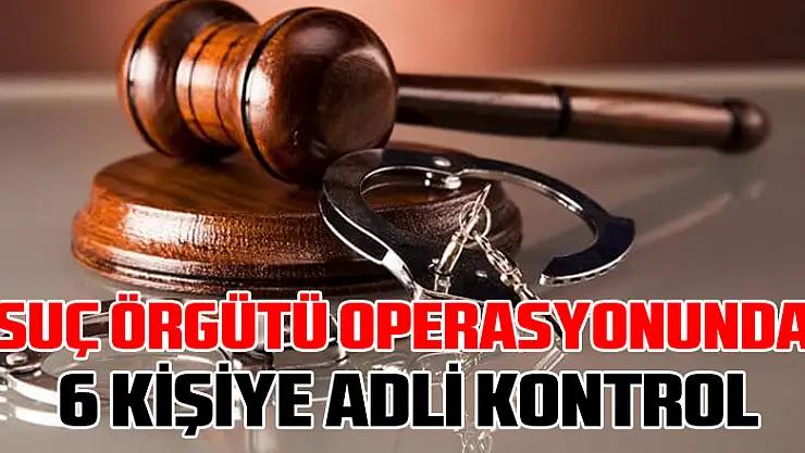  Samsun'da suç örgütü operasyonunda 6 kişiye adli kontrol