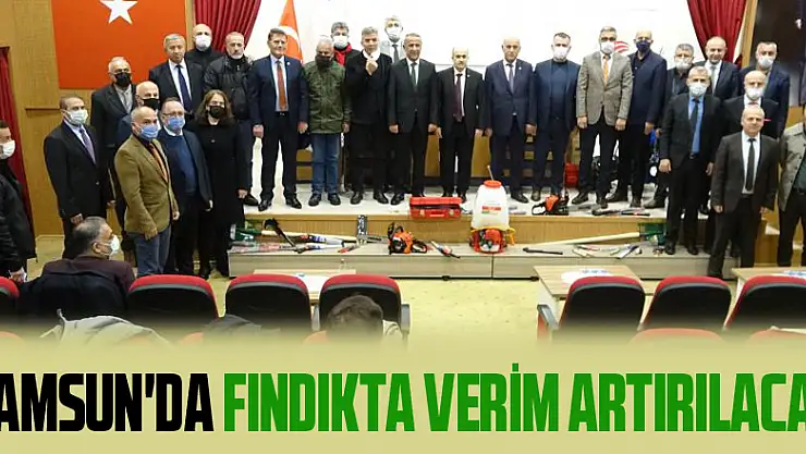 Samsun'da fındıkta verim artırılacak