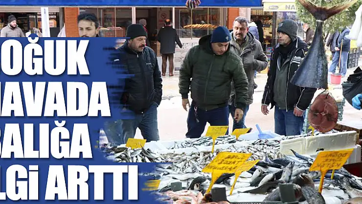 Soğuk havada balığa ilgi arttı
