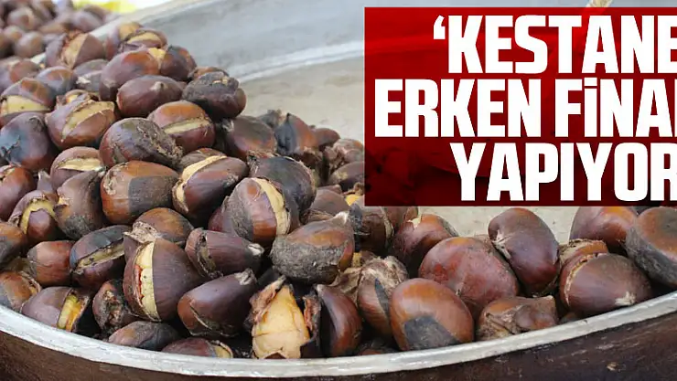 'KESTANE' ERKEN FİNAL YAPIYOR!