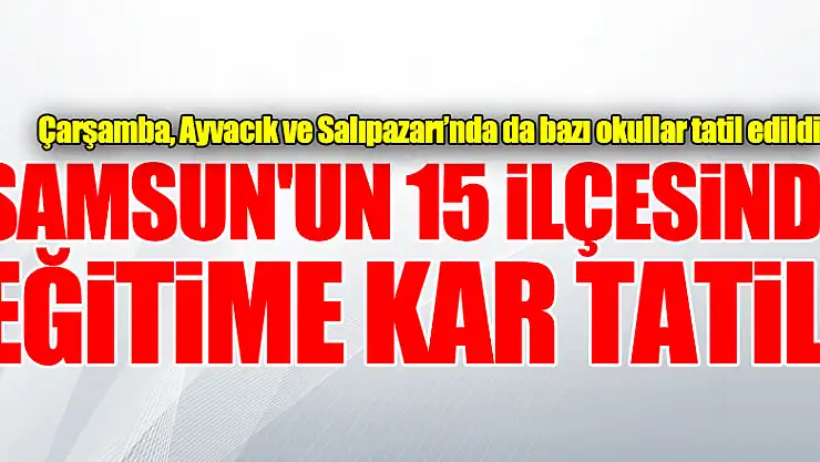 Samsun'un 15 ilçesinde eğitime kar tatili