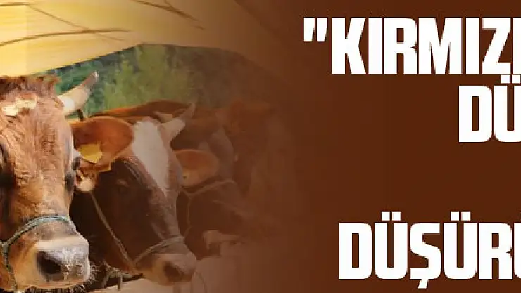 'Kırmızı et fiyatlarının düşmesi için dişi malların kesilmemesi ve girdi maliyetlerinin düşürülmesi gerekir'
