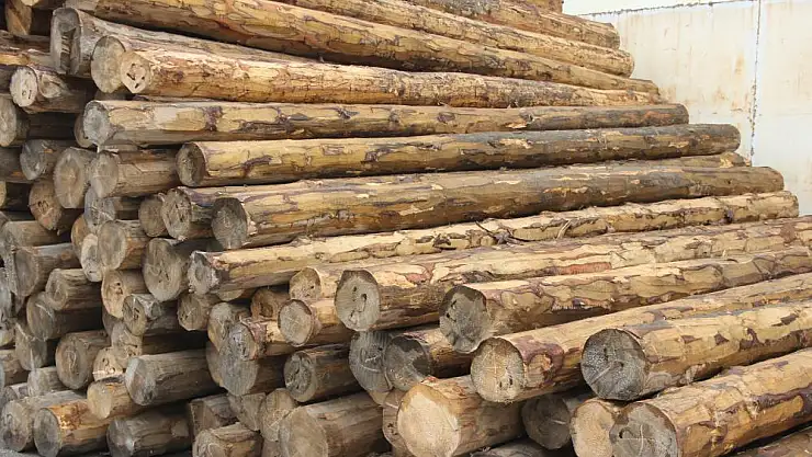 Rusya ambargosu Türkiye'ye fırsatları ve sıkıntıları beraber sunuyor