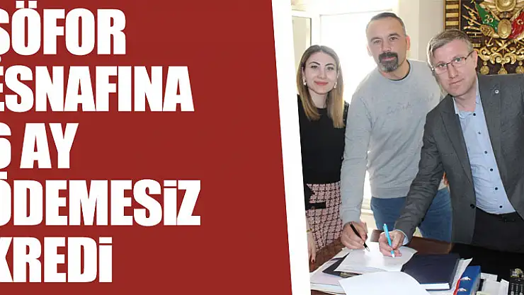 ŞÖFOR ESNAFINA 6 AY ÖDEMESİZ KREDİ