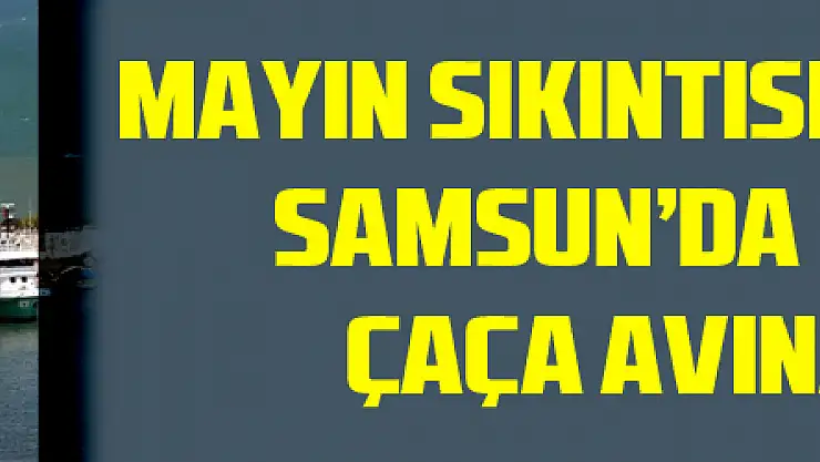 Mayın sıkıntısı yaşanmayan Samsun'da balıkçılar çaça avına başladı
