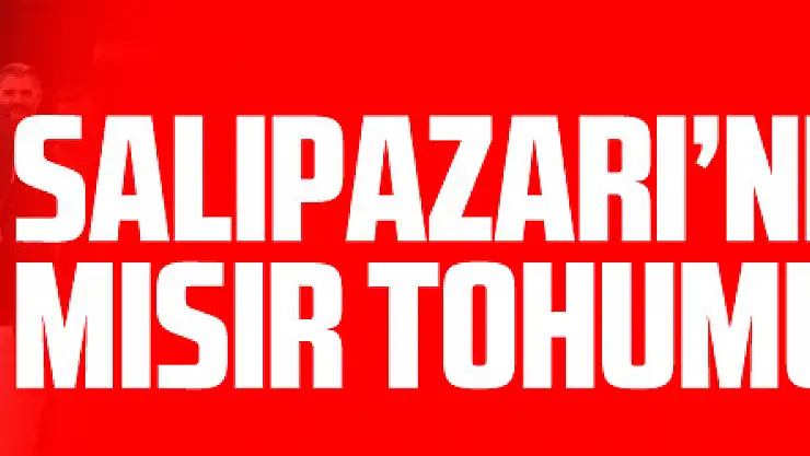 Salıpazarı'nda Silajlık Mısır Tohumu Dağıtıldı