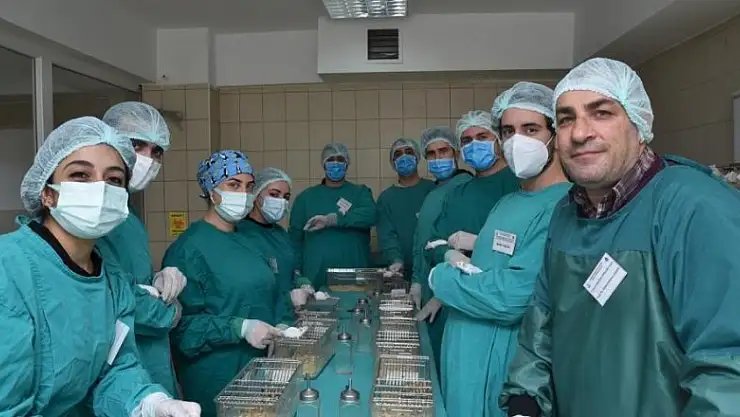 12 farklı şehirden ve 13 üniversiteden 130 katılımcıya deney hayvanı eğitimi