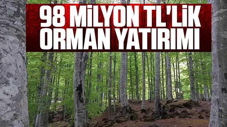 Samsun'a 82 proje ile 98 milyon TL'lik orman yatırımı