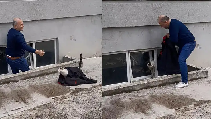 Pencereye sıkışan kedi kurtarıldı