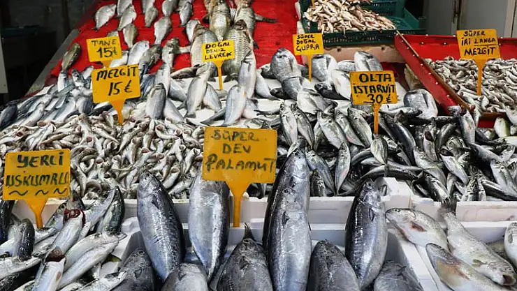 Sezonun son balıkları 15-30 TL arasında tezgahlarda