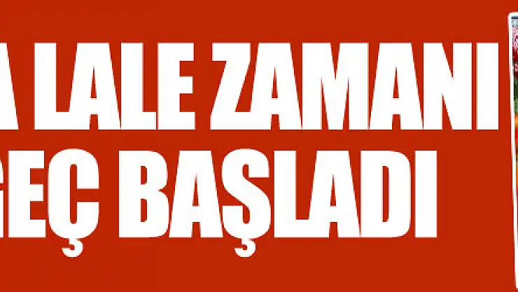Samsun'da lale zamanı bu sene geç başladı
