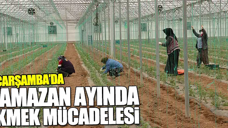 Tarım işçileri ramazan ayında da ekmek mücadelesini sürdürüyor