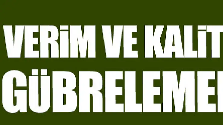 Buğdayda verim ve kalite artışı için gübrelemenin önemi