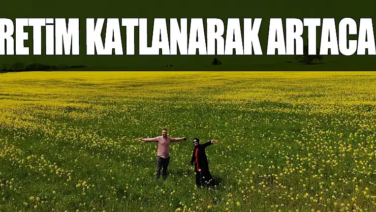 Yüzde 50 yağ oranına sahip kanolanın üretimi katlanarak artacak