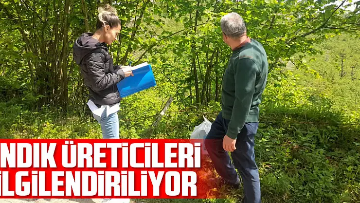 Fındık üreticileri bilgilendiriliyor