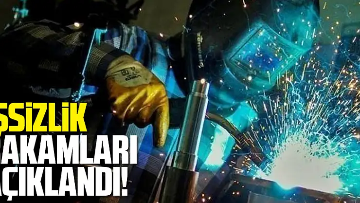 İşsizlik rakamları açıklandı!