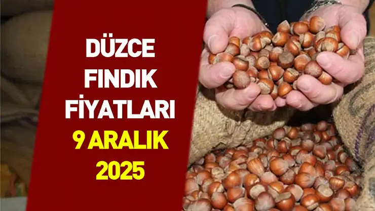 9 Aralık 2025 Düzce Fındık Fiyatları | Fiyatlar Güç Kazanmaya Devam Ediyor