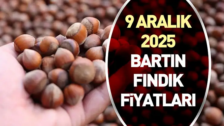 9 Aralık Bartın 2025 Fındık Fiyatları | Fındık Fiyatlarında Sakin Seyir Sürüyor