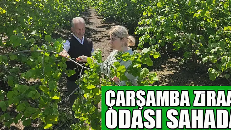 Çarşamba Ziraat Odası Sahada