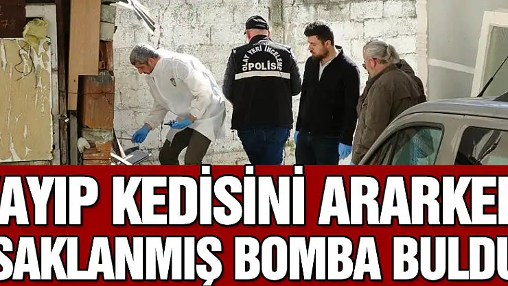 Kayıp kedisini ararken saklanmış bomba buldu