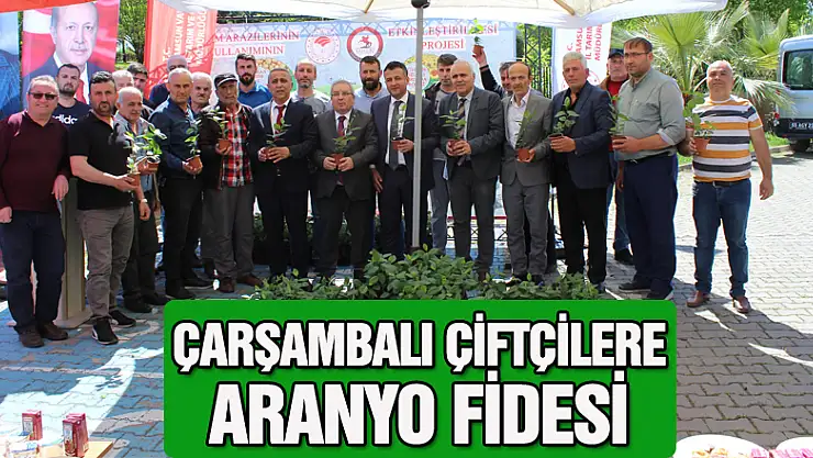 ÇARŞAMBALI ÇİFTÇİLERE ARANYO FİDESİ
