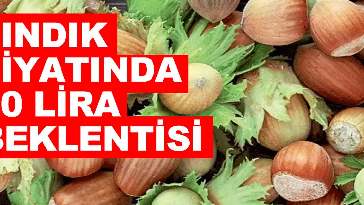 Fındık fiyatında 50 lira beklentisi
