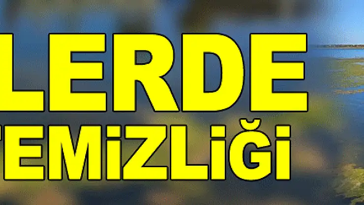 Sahillerde yosun temizliği