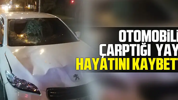 Samsun'da otomobilin çarptığı yaya hayatını kaybetti