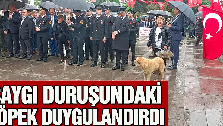 SAYGI DURUŞUNDAKİ KÖPEK DUYGULANDIRDI