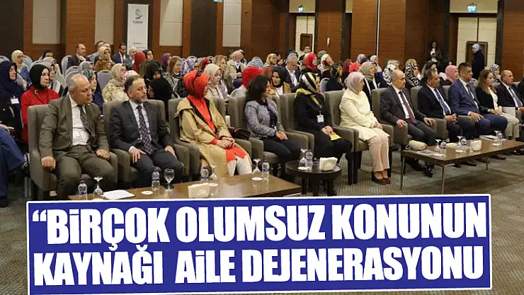 Vali Dağlı: 'Birçok olumsuz konunun nedeni aile kavramının dejenerasyonundan kaynaklı'