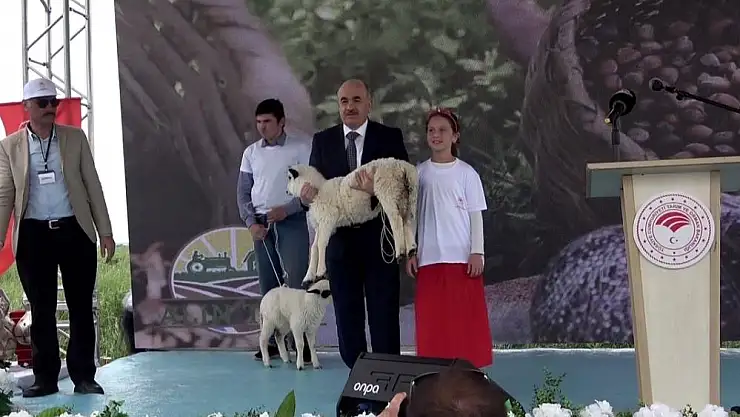 Mera Islahı ve Amenajman Projesi açılışı