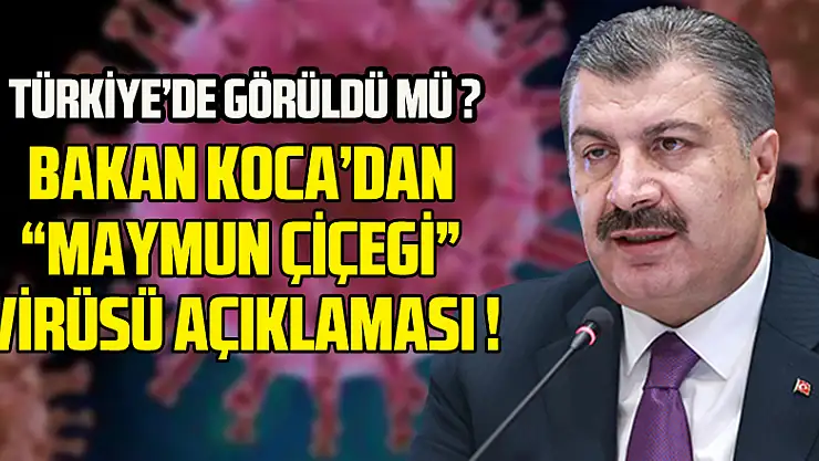 Sağlık Bakanı Koca: 'Bugüne kadar bizde maymun çiçeği vakası olmadı'