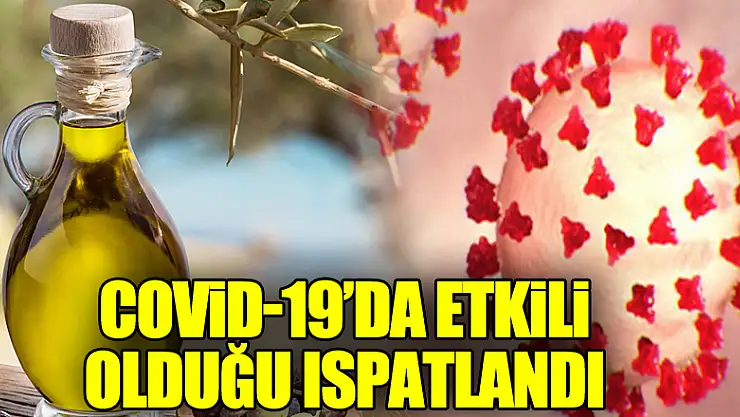 Zeytinyağının Covid-19 tedavisinde etkili olduğunu bilimsel olarak ispatladılar