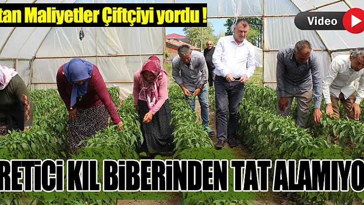 Artan Maliyetler Çiftçiyi yordu !  ÜRETİCİ KIL BİBERİNDEN TAT ALAMIYOR