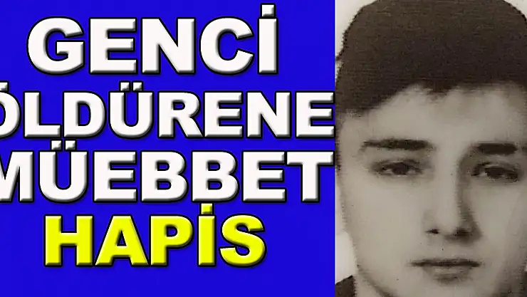 Park halindeki araçtaki genci öldürene müebbet hapis