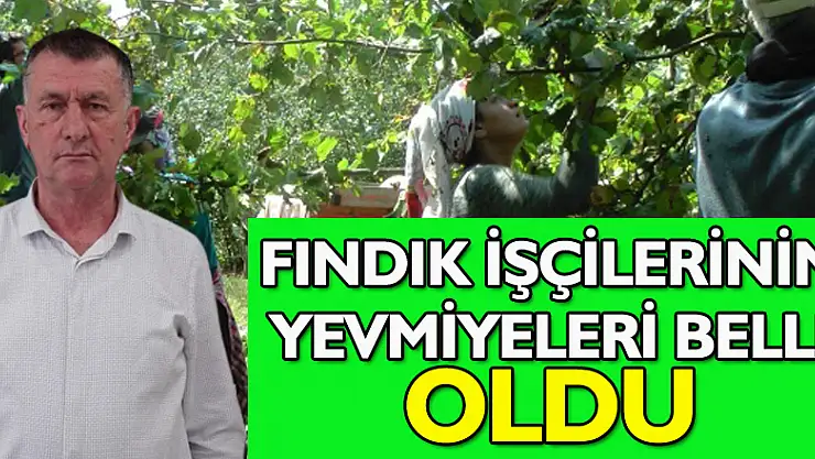 Fındık İşçilerinin Yevmiyeleri Belli Oldu