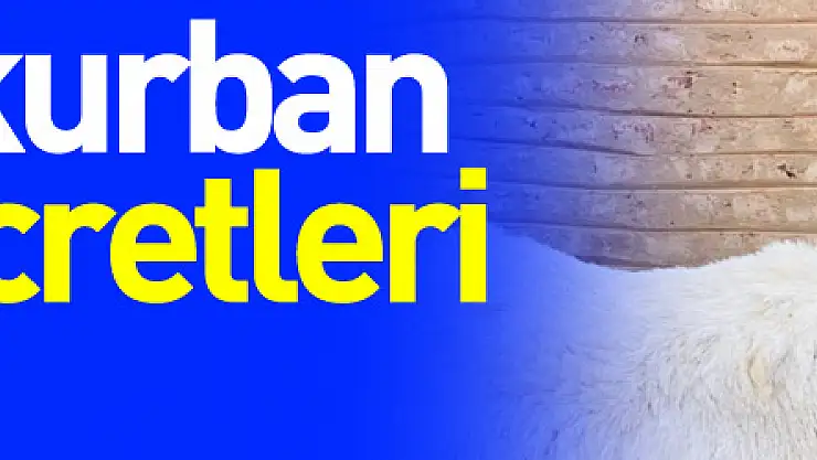 2022 yılı kurban vekalet ücretleri belli oldu