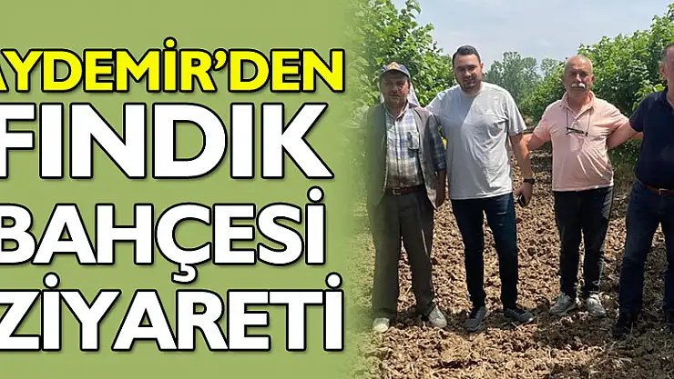 BAŞKAN AYDEMİR'DEN FINDIK BAHÇESİ ZİYARETİ