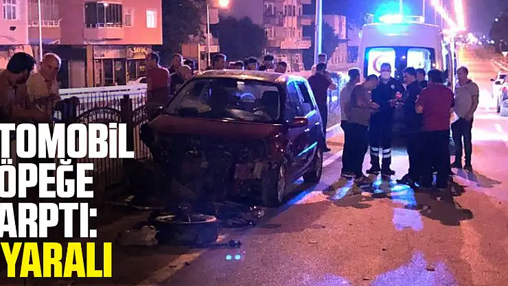 Otomobil köpeğe çarptı: 5 yaralı