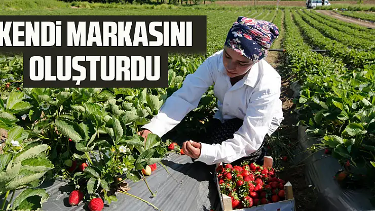 Kendi markasını oluşturdu