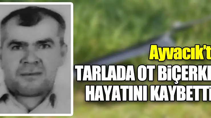 Tarlada ot biçerken hayatını kaybetti