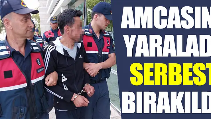 Amcasını tüfekle yaralayan serbest bırakıldı