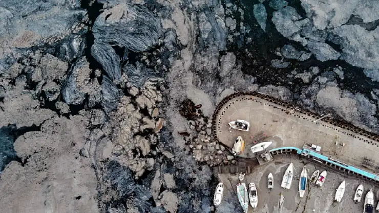 Müsilaj ile ilgili hükümleri içeren kanun teklifi yasalaştı