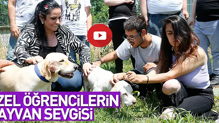 Özel öğrenciler hayvan sevgisi