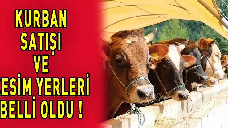 Samsun'da kurban satış ve kesim yerleri belli oldu